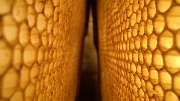 Super Macro Shot of Uncapped Honey Comb. Organic Beekeeping. Wax Cells Close Up. Laowa Probe Lens.