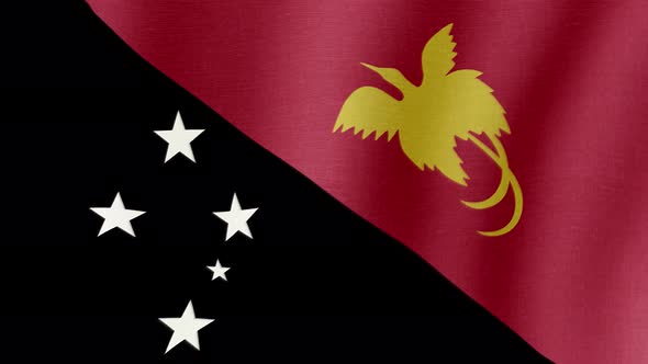 The National Flag of Papua New Guinea alt