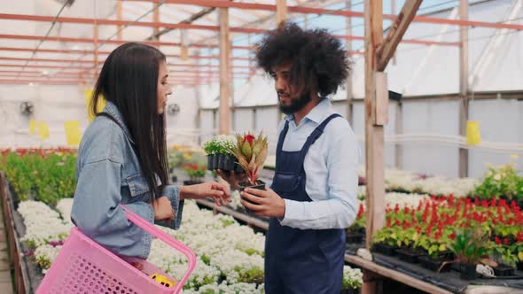 Handsome Sales Assistant Helping Young Female Customer with Plants and Flowers in Greenhouse or