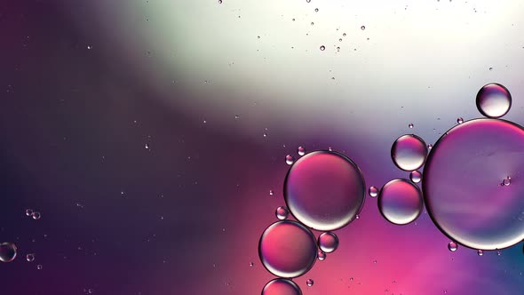 Abstract Colorful Food Oil Drops Bubbles 234 alt