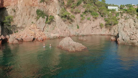 Fit women floating on paddle board in sea