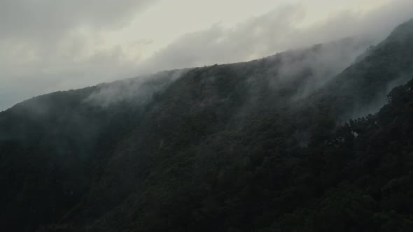 Mountain Slope Covered with Forest