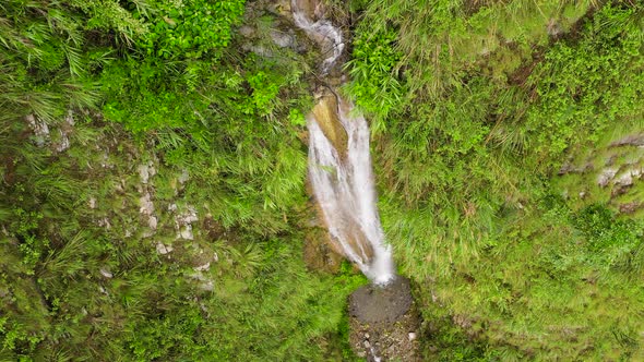 Waterfall in the Tropical Jungle Top View