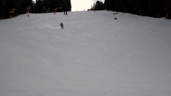 skiers descend on an artificial track