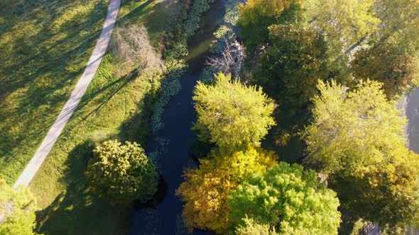 Flying Over View Trees Lake Meadow Dirt Paths and Landscape Design