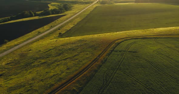 Green Fields and Meadows People Walk Along the Road