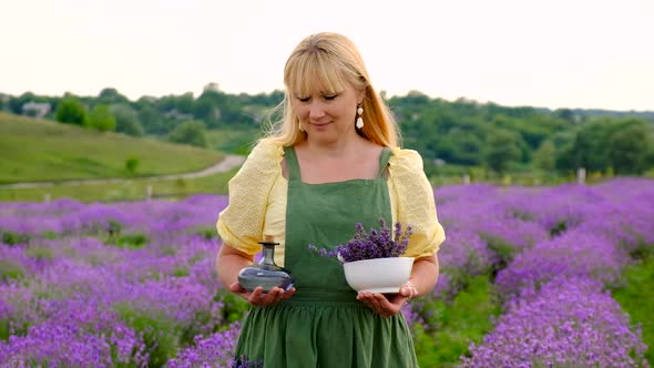 A Woman Collects Lavender Flowers for Essential Oil