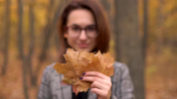 A Young Woman in Glasses Hides Behind a Large Tree of Leaves in the Autumn Forest. Girl Holds Out