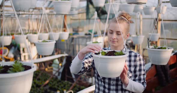 Agriculture Business - Smiling Gardener Working with Flowers in Greenhouse