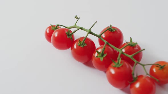 Video of fresh cherry tomatoes with copy space on white background