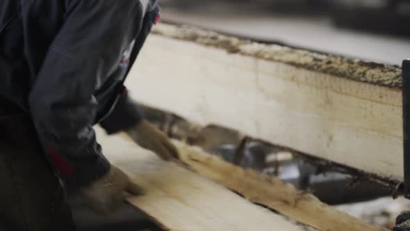 Worker Sorting Boards After Cutting. Sawmill. Manufacturing. Outdated Sawmill Machine for Process of