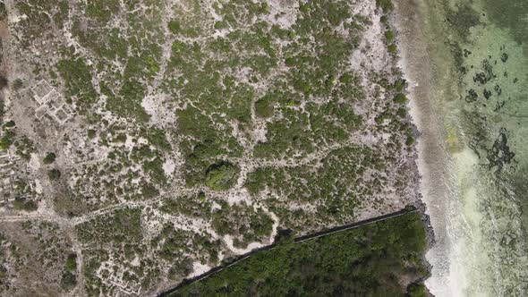 Zanzibar Tanzania  Ocean Shore Covered with Green Thickets