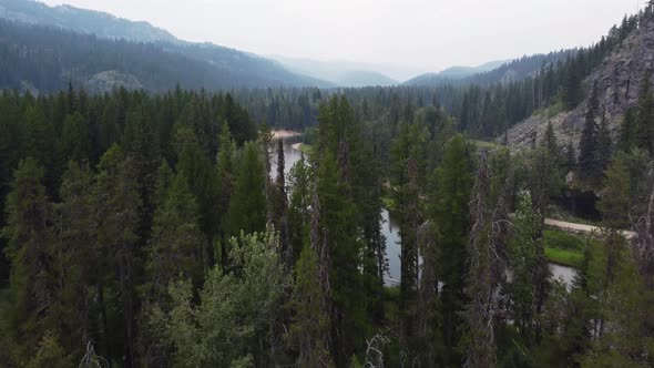 Drone crane shot revealing the winding Payette River from behind some trees in the forest near McCal