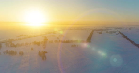 Aerial Drone View of Cold Winter Landscape with Arctic Field, Trees Covered with Frost Snow