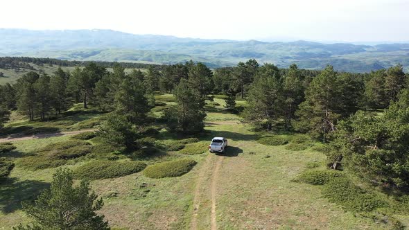 Offroad Vehicle Driving Through The Forest