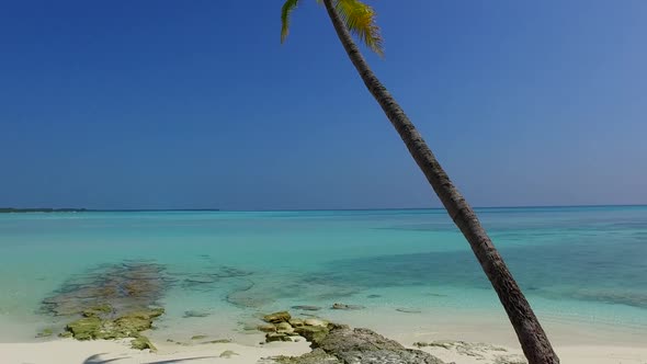 Daytime travel of tourist beach by ocean with sand background before sunset