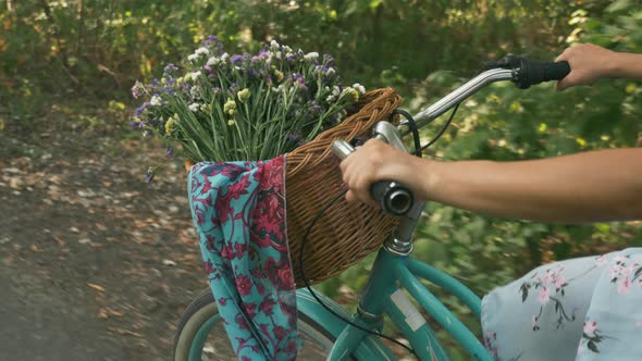 Female hands hold handlebar of vintage old bike with basket of flowers, close up.