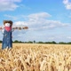 Timelapse of a Scarecrow  - VideoHive Item for Sale