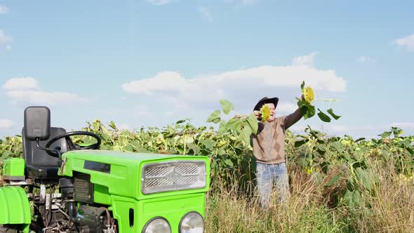 Farmer Dancing Happily on a Sunflower Plantation He Holds a Sunflower Crop in His Hands and Has Fun