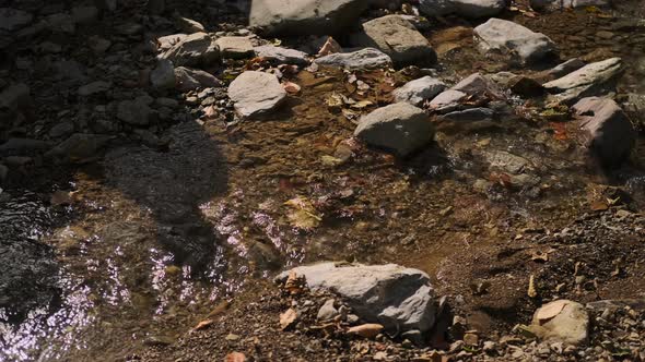 Stream in Forest at Sunny Weather Closeup of Ground