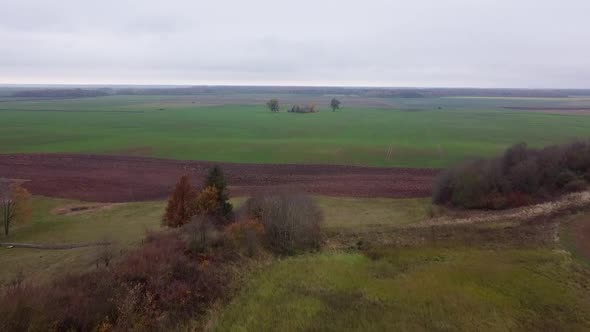 Beautiful drone rising up from the ground shot revealing the beauty of Lithuania's flatland farming