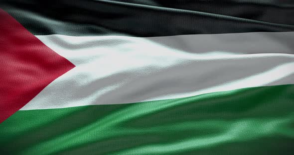 Palestine waving flag loop