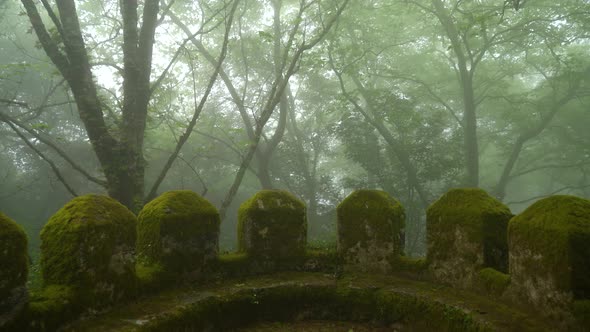 Mysterious Defensive Wall in Moors Castle Covered with Moss