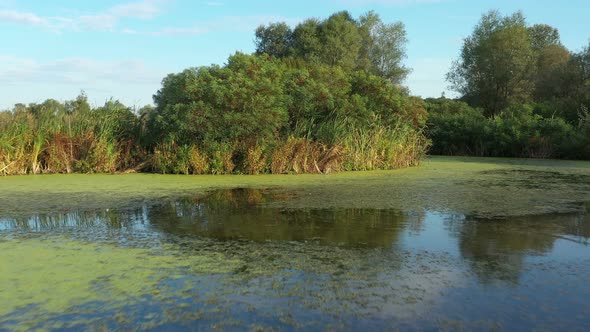 Flight Over A Beautiful Lake Dotted With Green Vegetation 19