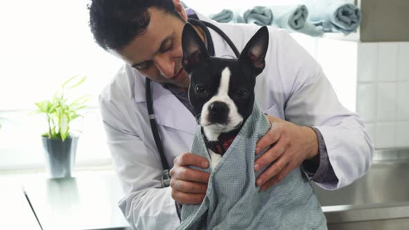 Cute Happy Puppy Enjoying Being Dried with a Towel After Bathing