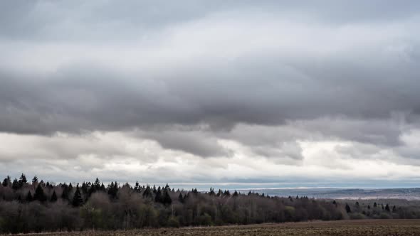 Grey Clouds in the sky above forest