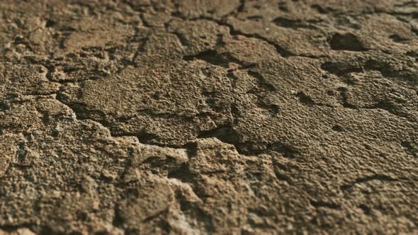 Closeup of Dirty Ground Road