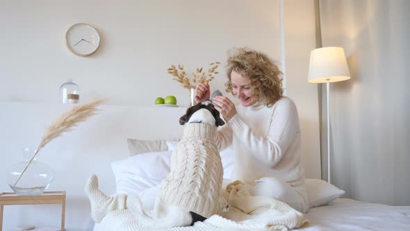 Owner Playing With Dog. Happy Cheerful Girl Giving A Treat To Her Dog At Home