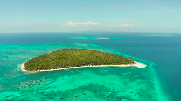 Tropical Island with Sandy Beach