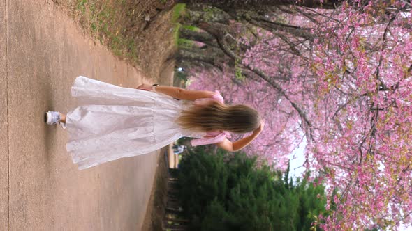 Woman in White Dress Walking Among Blooming Sakura Trees