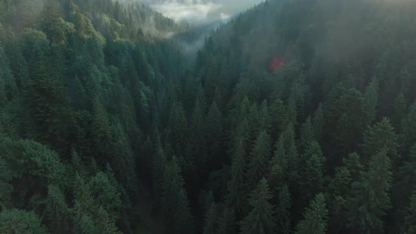 Aerial View of Beautiful Mountain Landscape