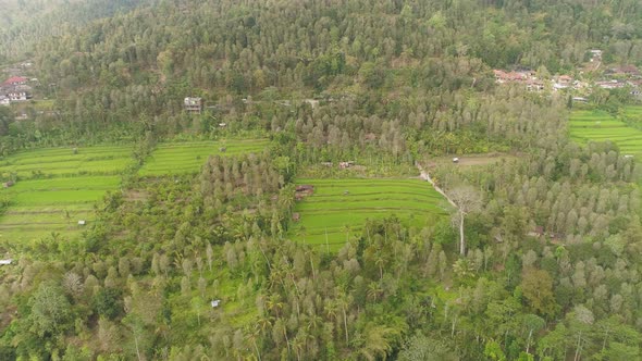 Tropical Landscape with Agricultural Land in Indonesia