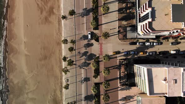 Close Up Top Down View Over Roads with Palm Trees and Few Vehicles