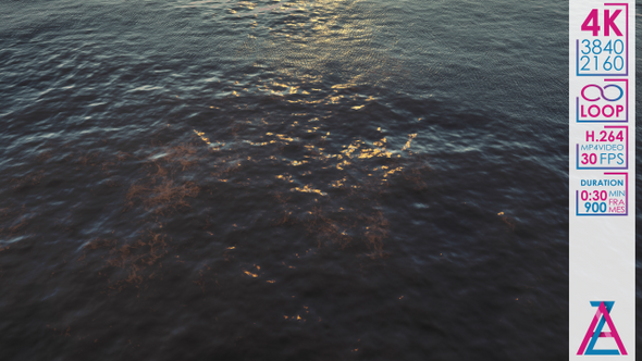 Blue Waves At Sunset In The Ocean alt