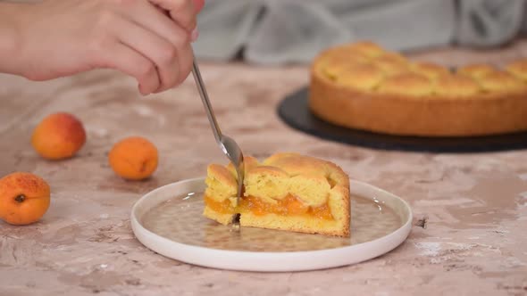 Piece of fresh apricot shortcrust pie.