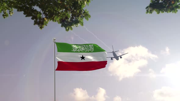 Somaliland Flag With Airplane And City -3D rendering