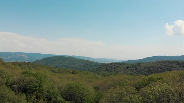 Arial Shoot Wild Walnut Forest in Jalal-abad Province Kyrgyzstan