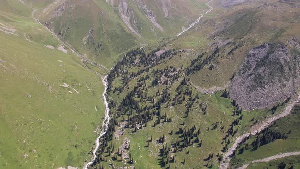 A Mountain River Flows Through a Green Gorge