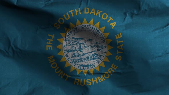 South Dakota State Flag 4K