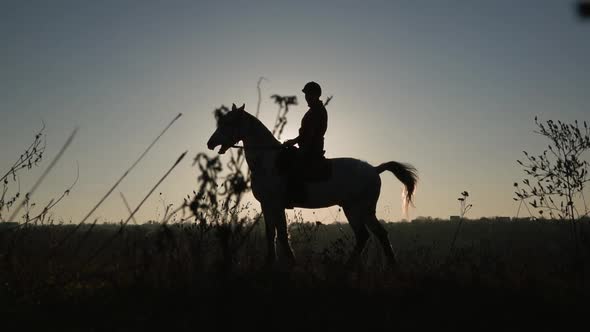 Silhouette of a Woman Riding a Horse in the Background Sunset