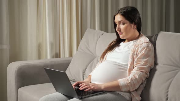 Pregnant Woman Freelancer Works Via Laptop From Home on Sofa