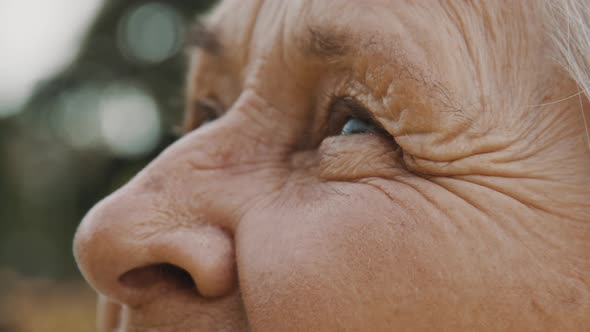 Close Up, Eyes of Old Woman in the Park. Looking Up in the Sky