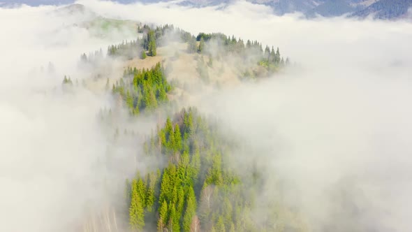 Aerial Flight Over the Morning Fog in a Mountain Forest