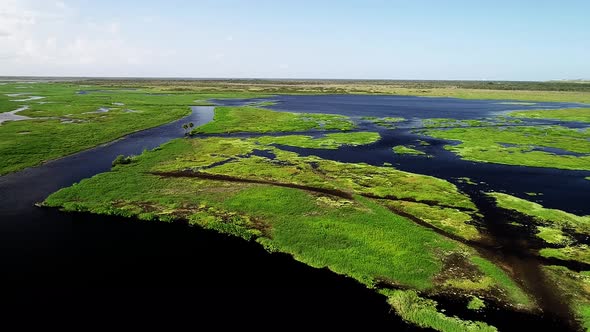 Marshland along the Saint John's River in Cocoa, Florida.