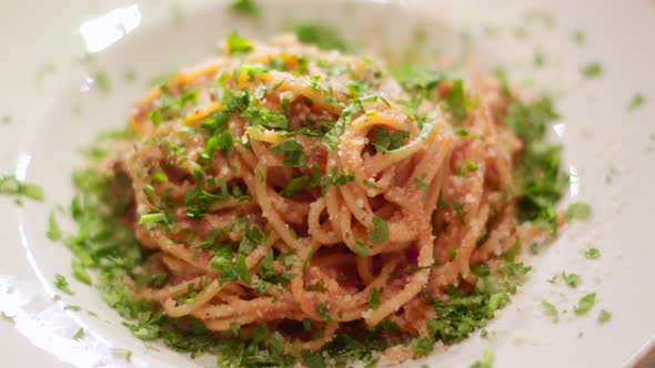 Closeup of the spaghetti pasta with parsley and cheese