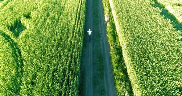 Aerial View on Young Boy, That Rides a Bicycle Thru a Wheat Grass Field on the Old Rural Road